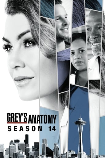 Portrait for Grey's Anatomy - Season 14