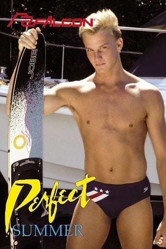 Poster of Perfect Summer