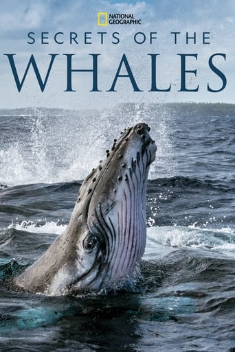 Poster of Secrets of the Whales