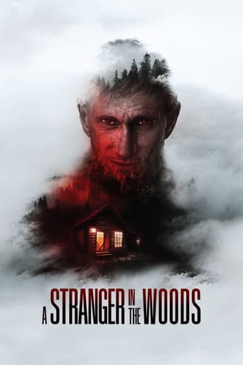 Poster of A Stranger in the Woods