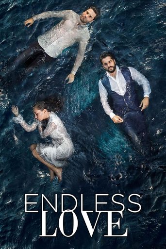 Poster of Endless Love