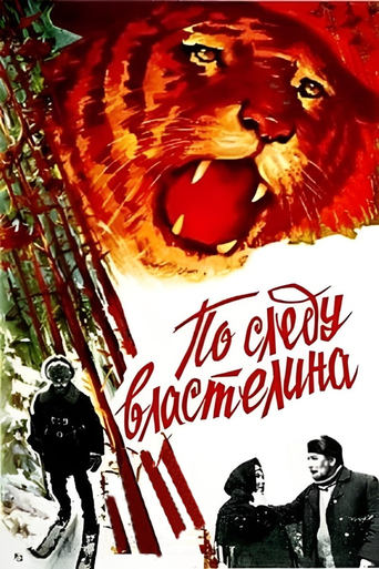 Poster of По следу властелина