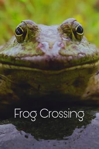 Poster of Frog Crossing