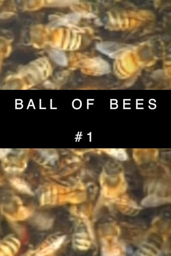 Poster of Ball of Bees #1