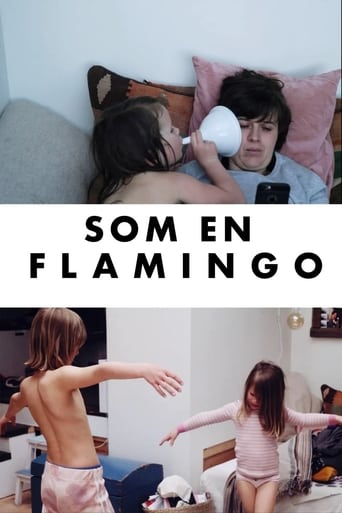 Poster of Som en flamingo