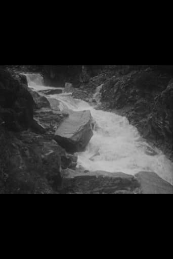 Poster of Swiss Trip (Rivers and Landscapes)