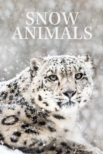 Poster of Snow Animals