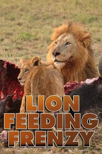 Poster of Lion Feeding Frenzy