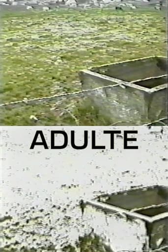 Poster of Adulte