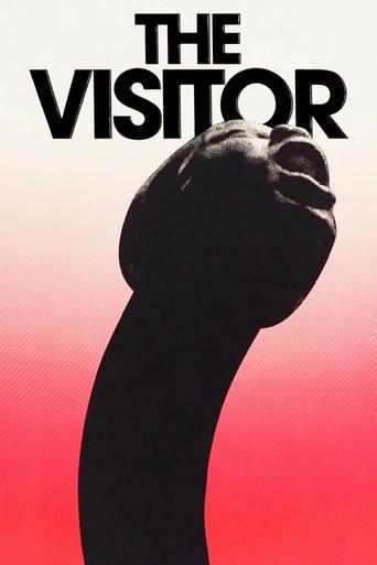 Poster of The Visitor