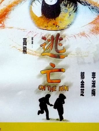 Poster of On the Run