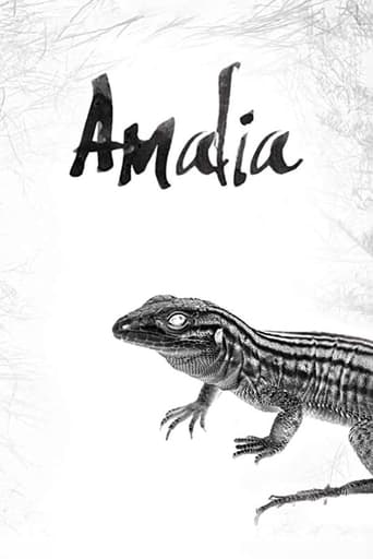 Poster of Amalia