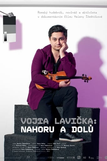 Poster of Vojta Lavička: Nahoru a dolů