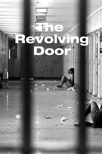 Poster of The Revolving Door