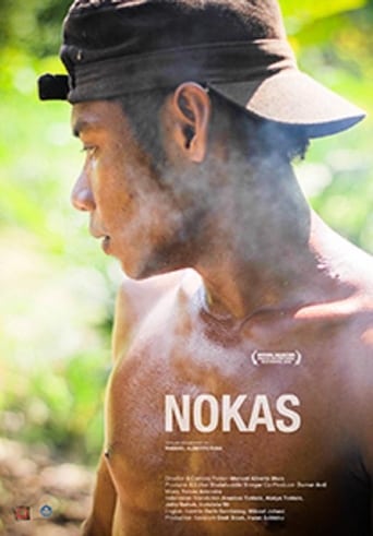 Poster of Nokas