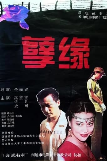 Poster of 孽缘