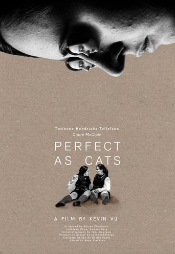 Poster of Perfect as Cats