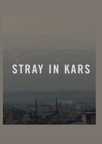 Poster of Stray in Kars