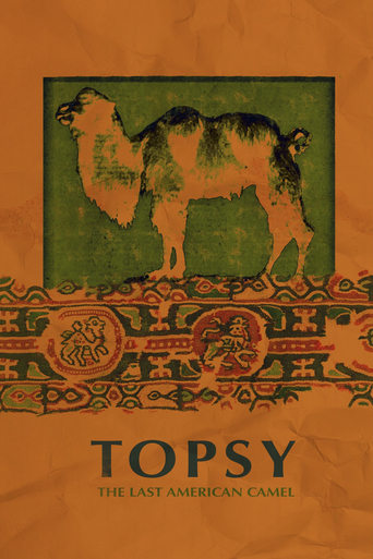 Poster of Topsy: The Last American Camel