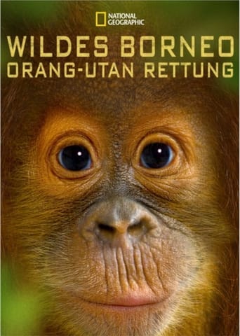 Poster of Orangutan Rescue - Back to the wild