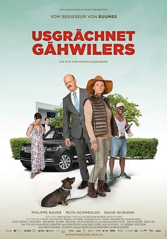 Poster of Meet The Gähwilers