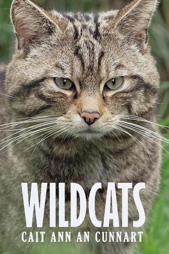 Poster of Wildcats: Cait ann an Cunnart