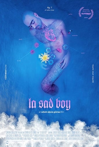 Poster of La Sad Boy