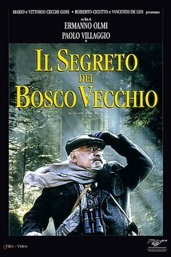 Poster of The Secret of the Old Woods