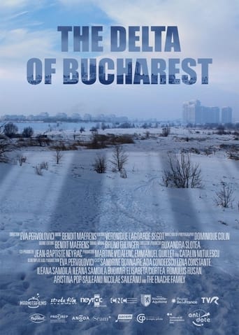 Poster of The Delta of Bucharest