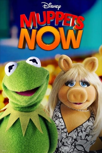 Portrait for Muppets Now - Season 1