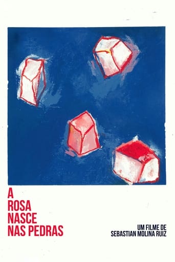 Poster of A Rosa Nasce Nas Pedras