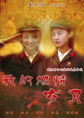 Poster of 我的燃情岁月