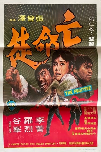 Poster of The Fugitive