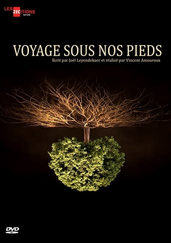 Poster of Voyage sous nos pieds