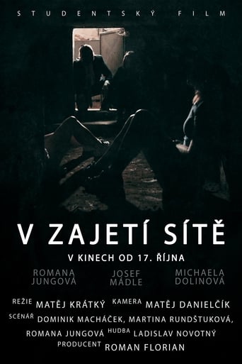 Poster of V zajetí sítě