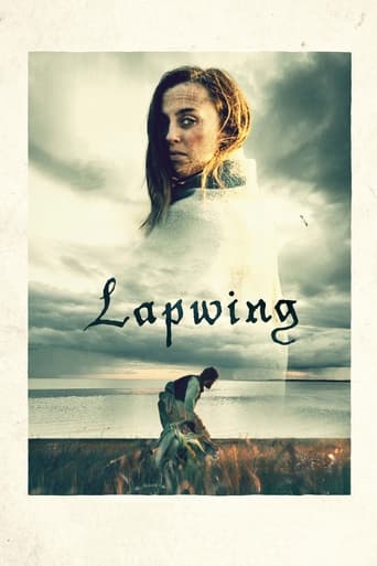 Poster of Lapwing