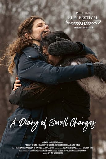 Poster of A Diary of Small Changes