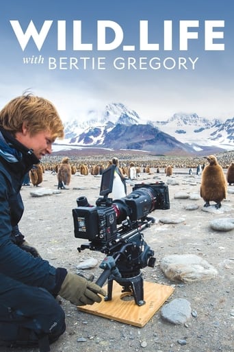 Poster of Wild Life with Bertie Gregory