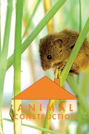 Poster of Constructions animales