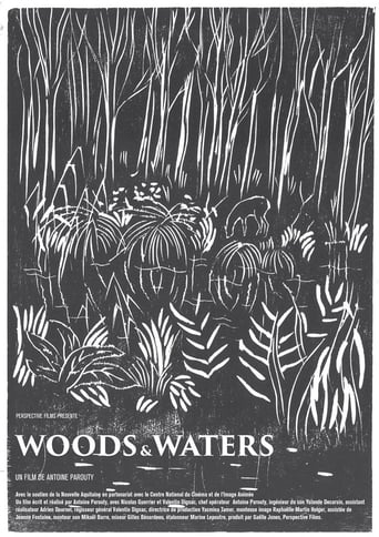 Poster of Woods and Waters