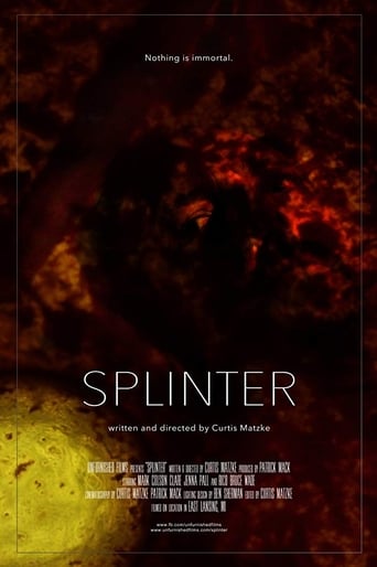 Poster of Splinter