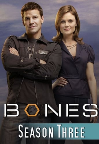 Portrait for Bones - Season 3