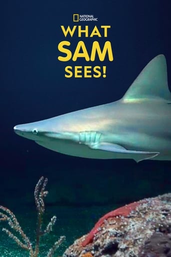 Poster of What Sam Sees