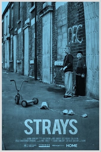 Poster of Strays