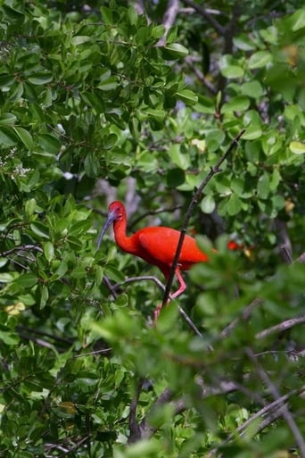 Poster of Caroni