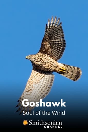 Poster of Goshawk - Soul of the Wind