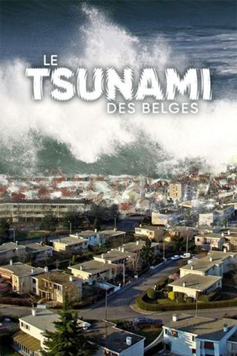 Poster of Le Tsunami des belges