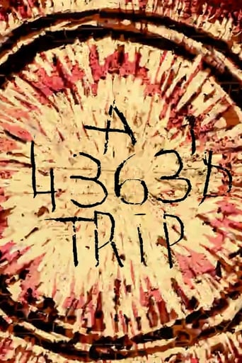 Poster of A 4363 Trip