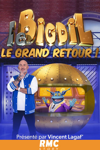 Poster of Le Bigdil