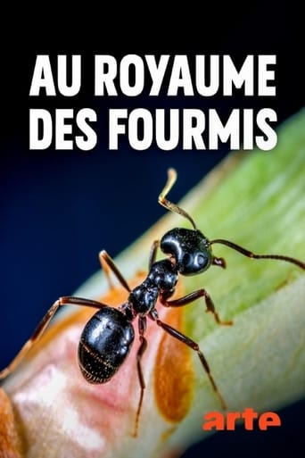 Portrait for Au royaume des fourmis - Season 1